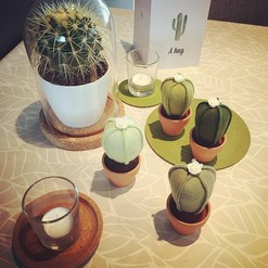 handmade cactus
